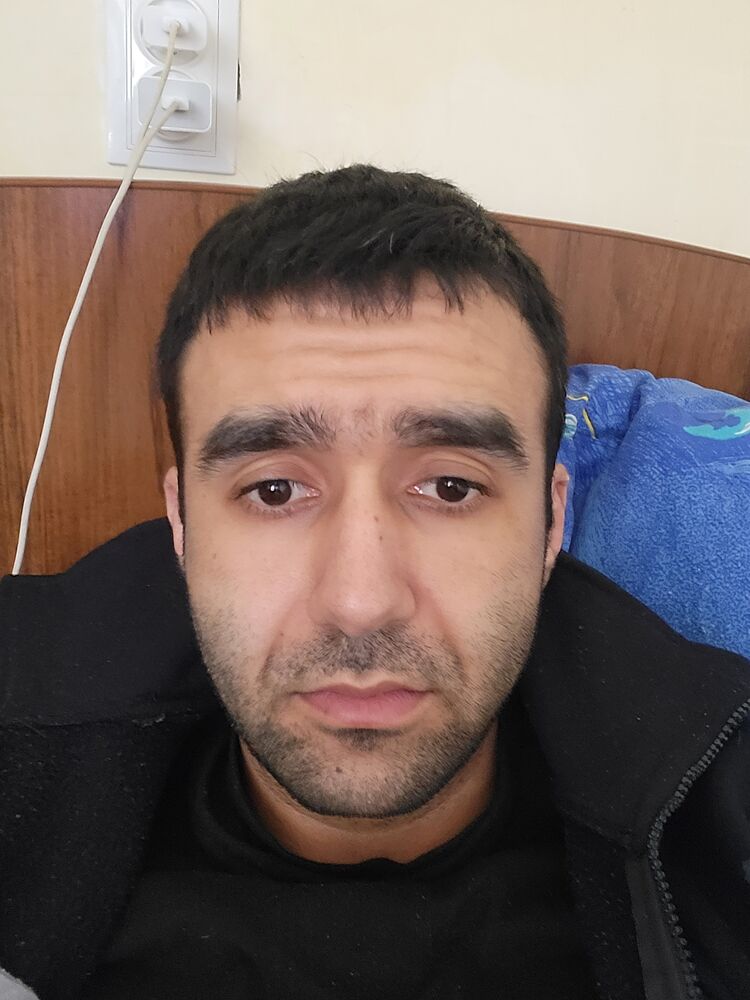  31631843  , 31 ,    