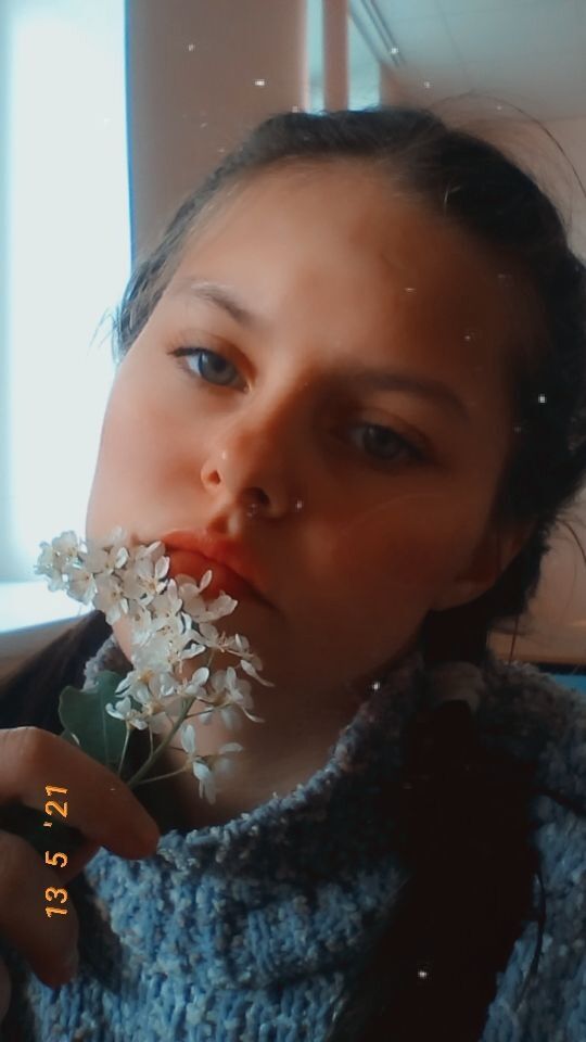 ���������� ������, ���� ������� ����, 23 ����, ������������ ��� ������, ����� � ���������