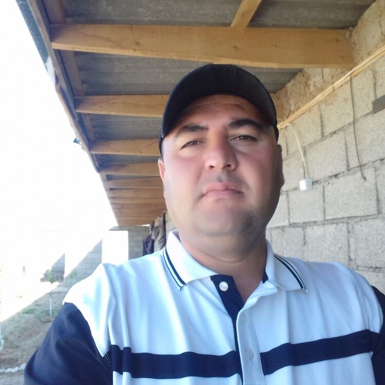 ���� 23293443 ������� ���������, 43 ����, ���� ���������� � ������