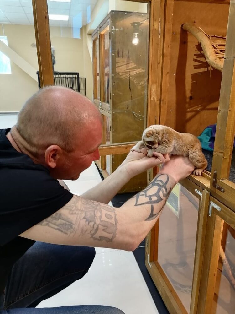 ���������� ����-���������, ���� ������� �������, 43 ����, ������������ ��� ������, ����� � ���������