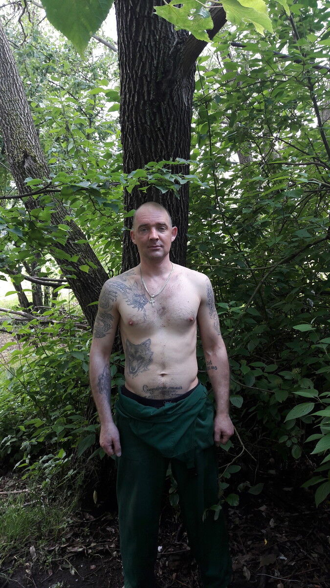  9829953  , 46 ,    -