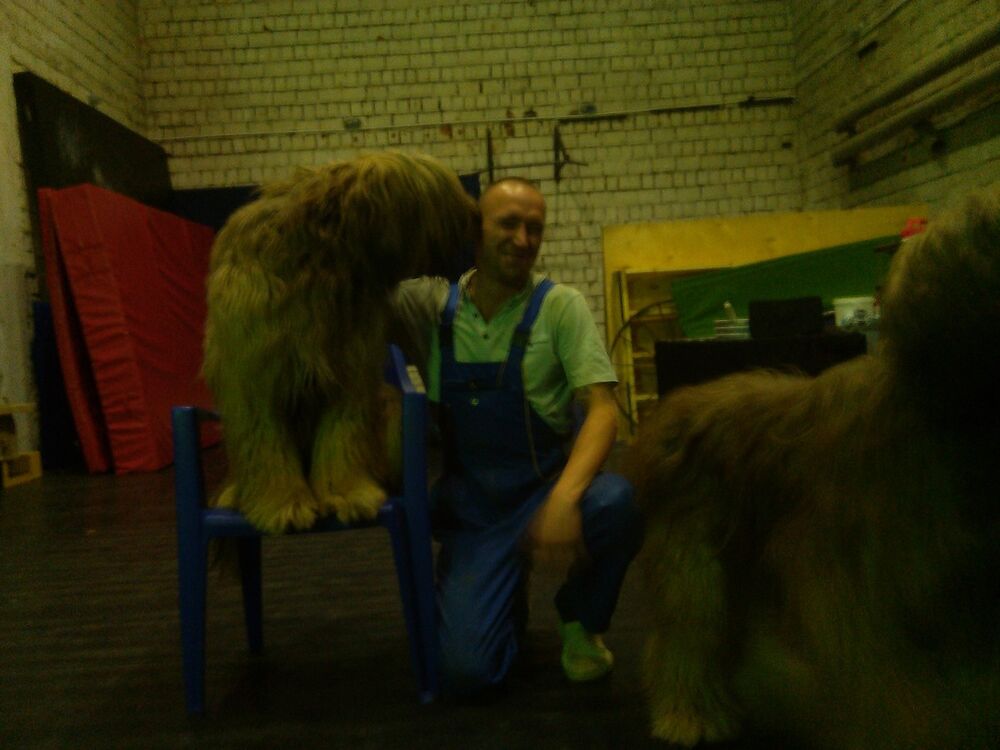 ���������� ������, ���� ������� �������, 38 ���, ������������ ��� ������, ����� � ���������, c�������� ���������