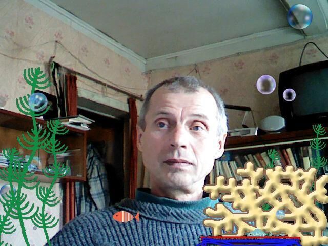  ,   , 73 ,   ,   