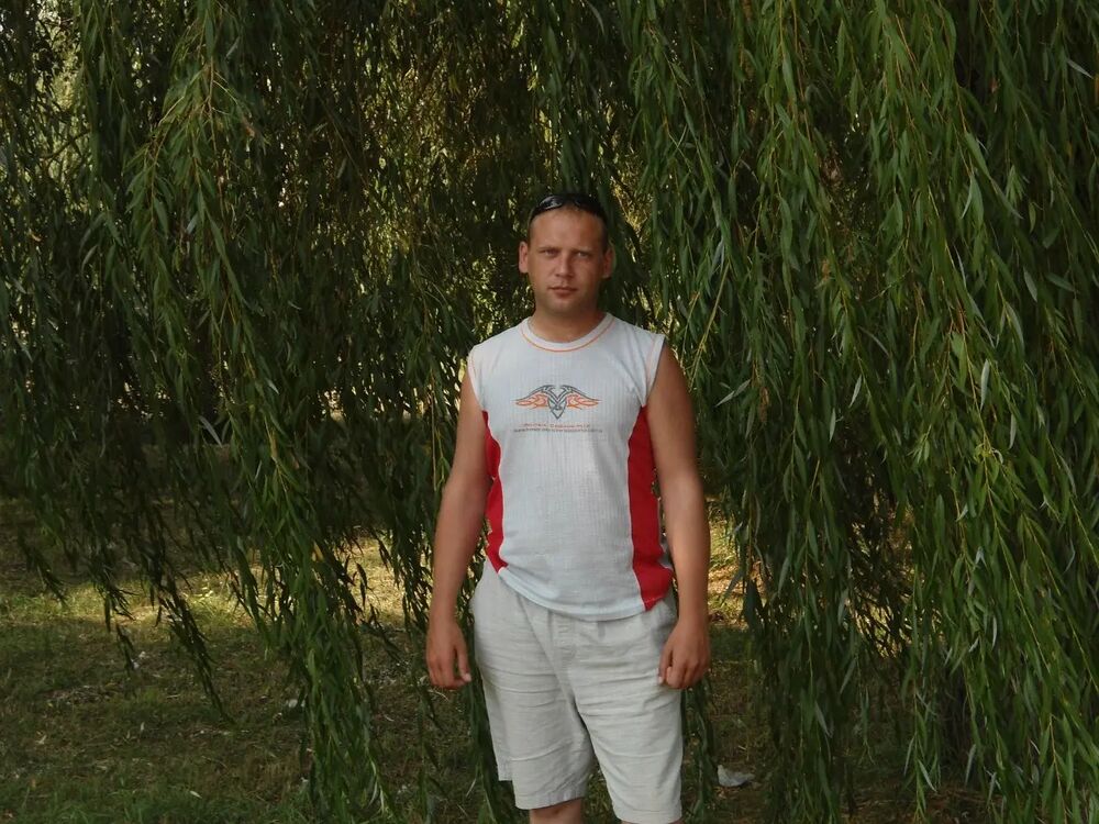  27043503  , 40 ,    