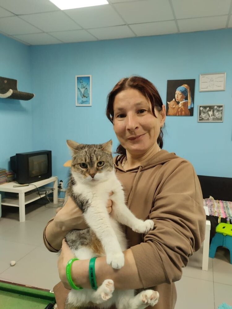 ���������� ��������, ���� ������� �������, 43 ����, ������������ ��� ������, ����� � ���������