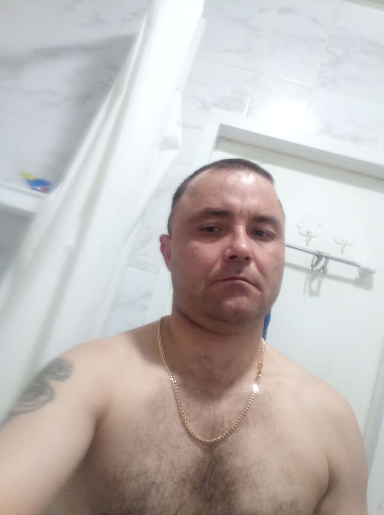  51944833  , 38 ,    -