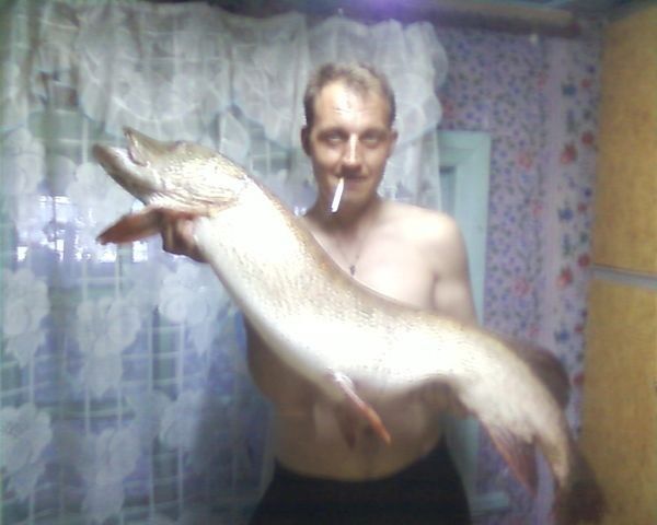 ���� 8155293 ������� �������, 46 ���, ���� ���������� � ��������������