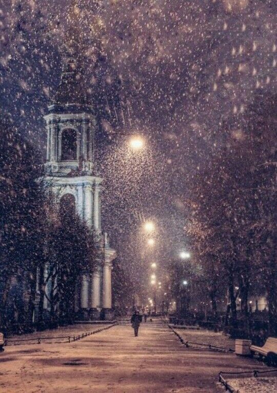 ���������� ������, ���� ������� ����, 29 ���, ������������ 