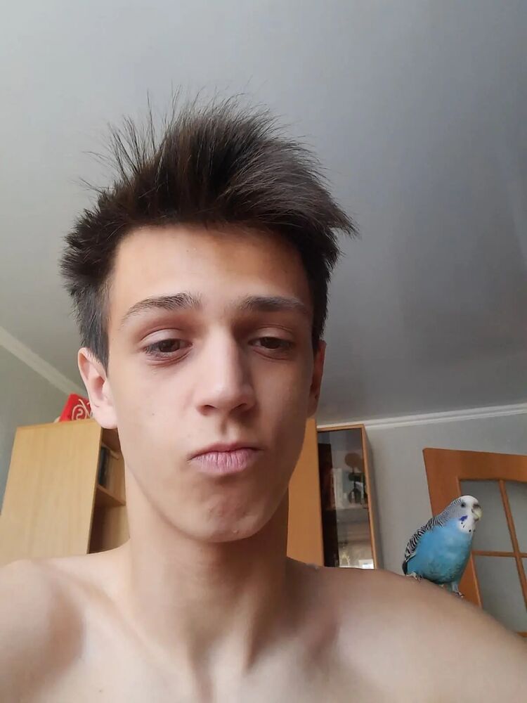  43392513  , 20 ,    -