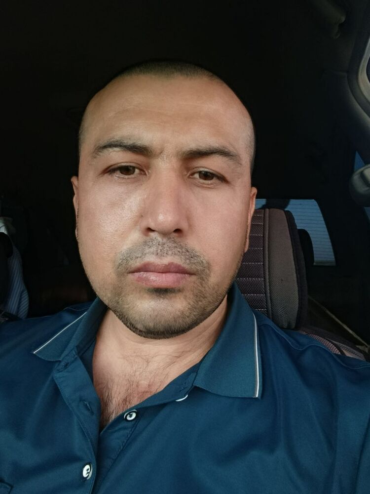  53159063  , 36 ,    