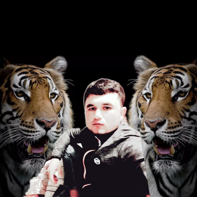  44285363  , 27 ,    -