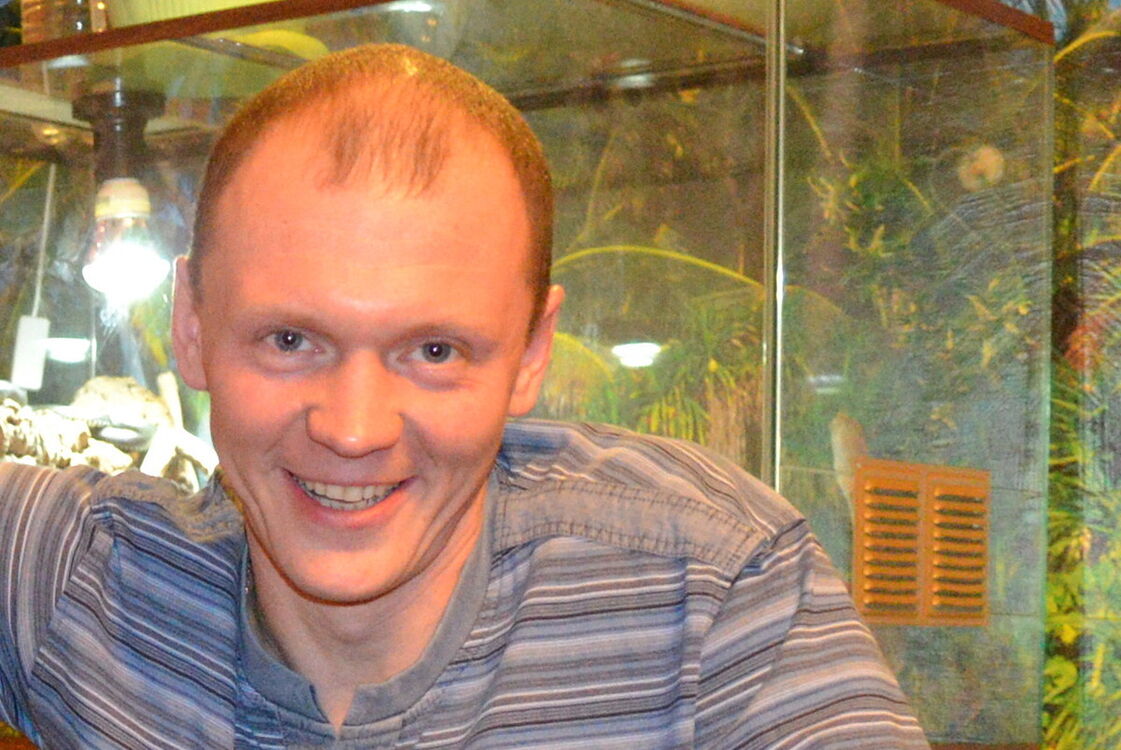 ���� 8665223 ������� �����, 40 ���, ���� ���������� � �����������