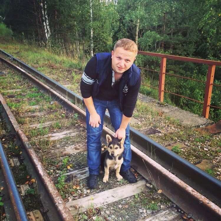 ���� 25550123 ������� �������, 35 ���, ���� ���������� � ���������