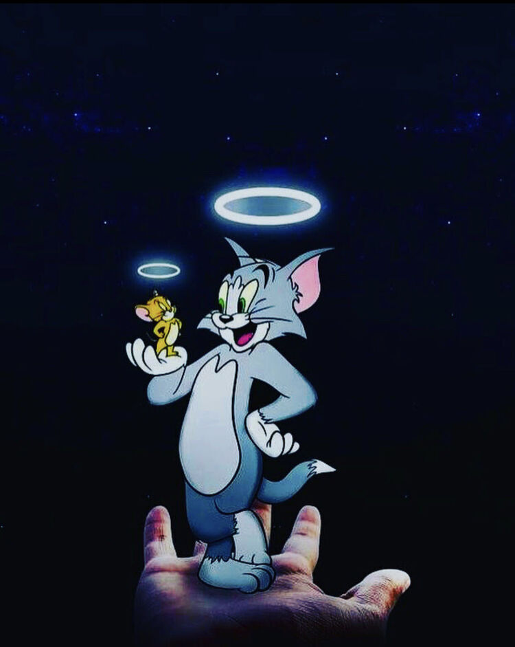 ���� 30955253 ������� ����, 30 ���, ���� ���������� � �������