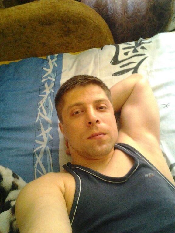  9137663  , 43 ,    -