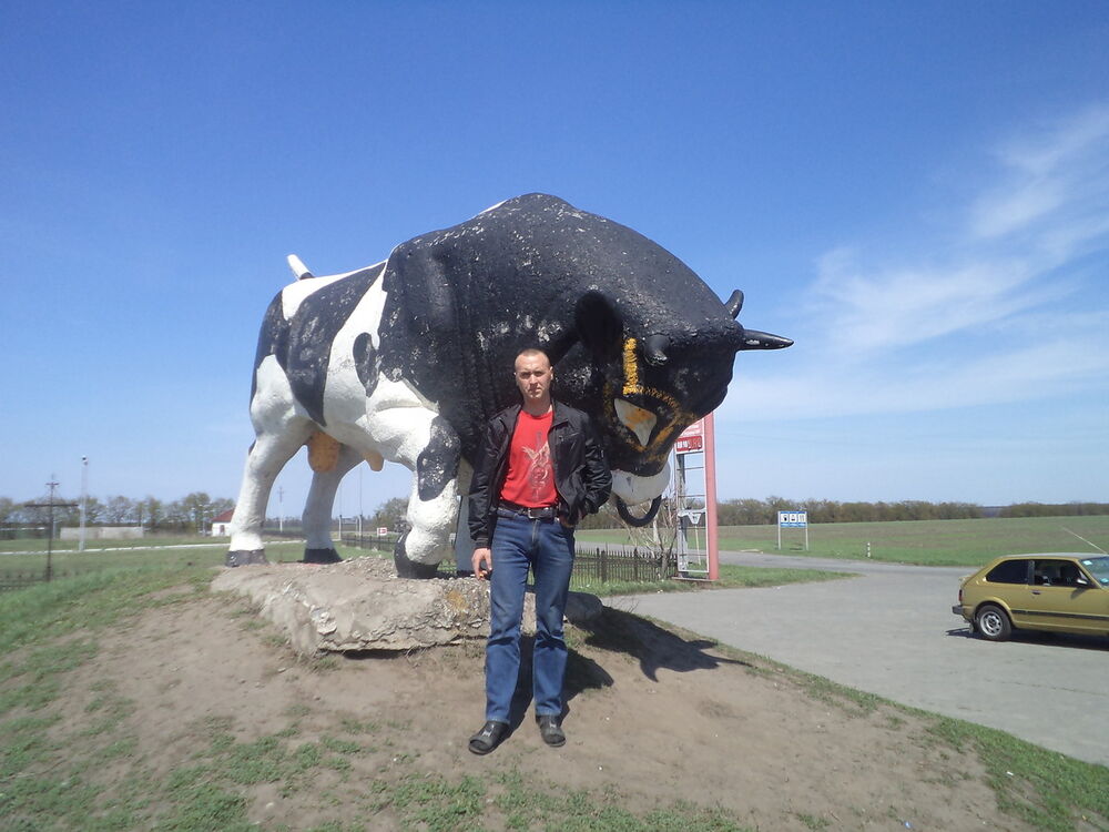 ���� 4124903 ������� �������, 42 ����, ���� ���������� � �������