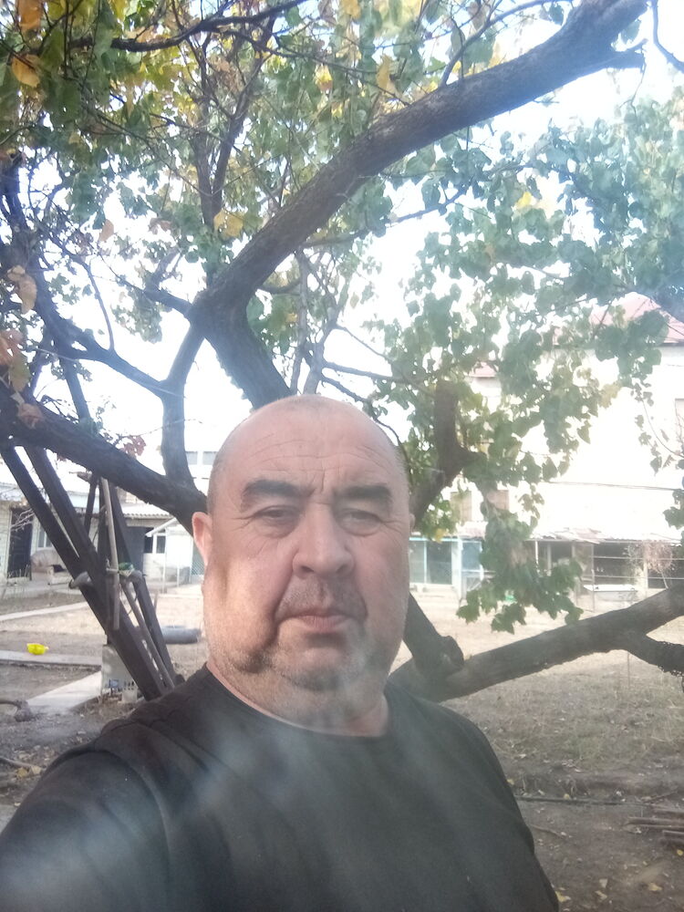  39069163  , 56 ,    