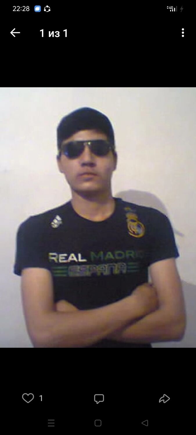  31728333  , 31 ,    