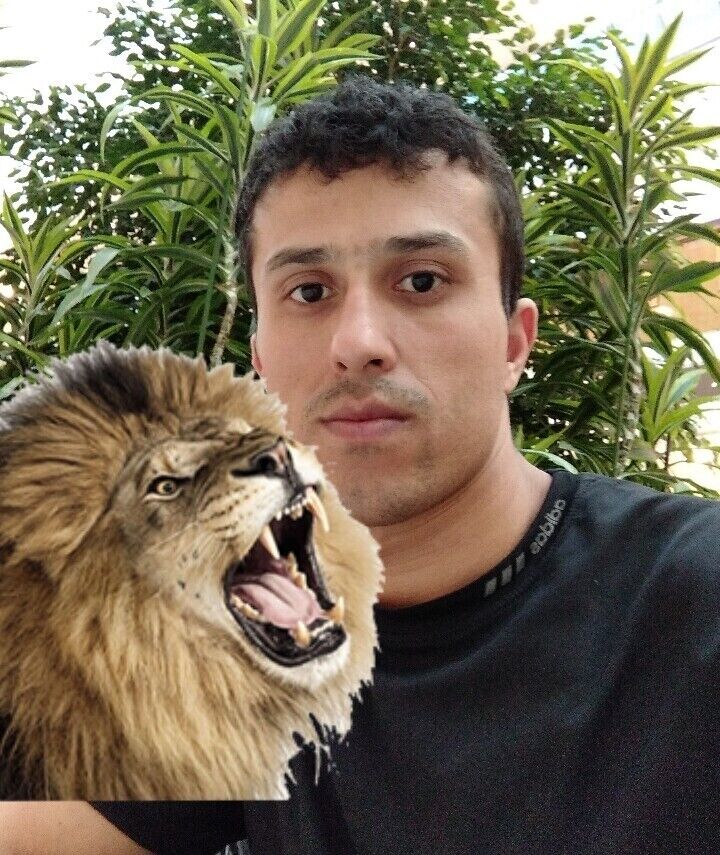  ,   Aslan, 29 ,   ,   