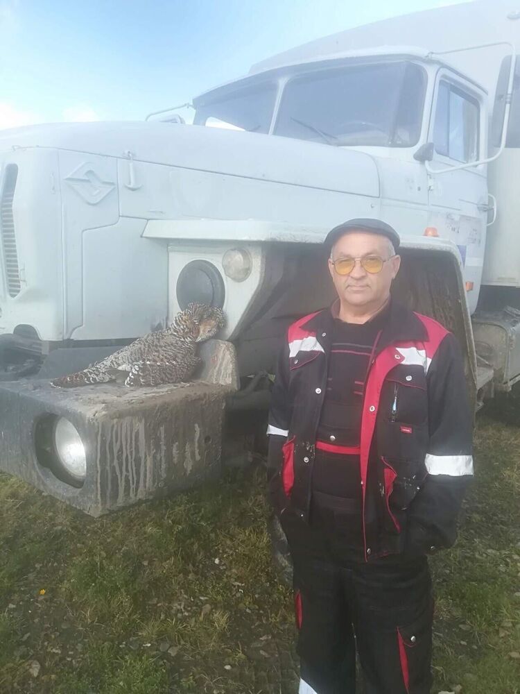 ���� 55083543 ������� Alexander, 61 ���, ���� ���������� � ���������