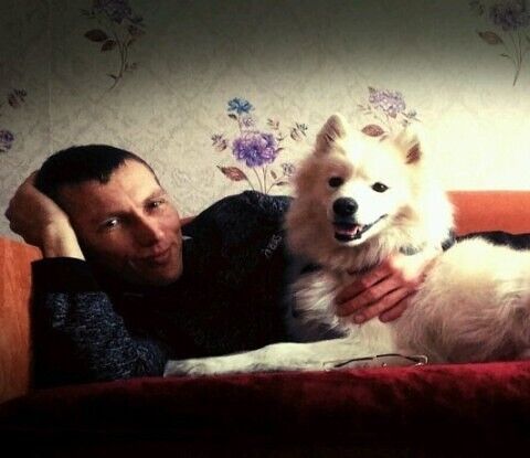  43241163  Evgeniy, 40 ,    -