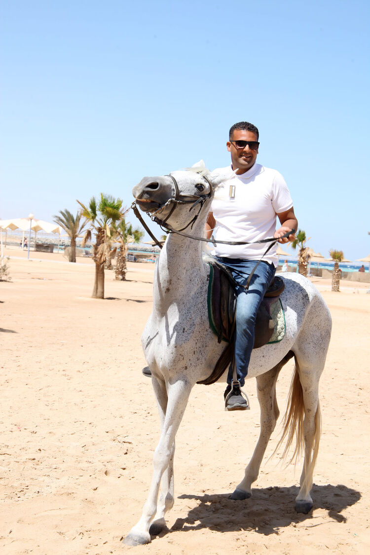 ���������� �����, ���� ������� Alx, 35 ���, ������������ ��� ����� � ���������, c�������� ���������