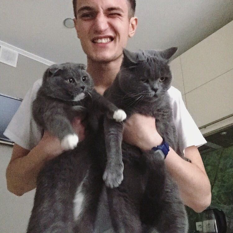 ���������� �������, ���� ������� ����, 31 ���, ������������ ��� ������, ����� � ���������