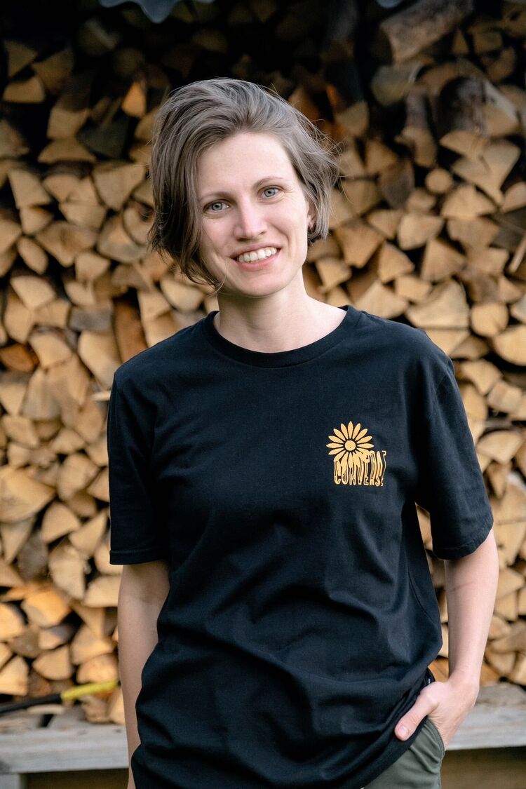  31291333  , 37 ,    -