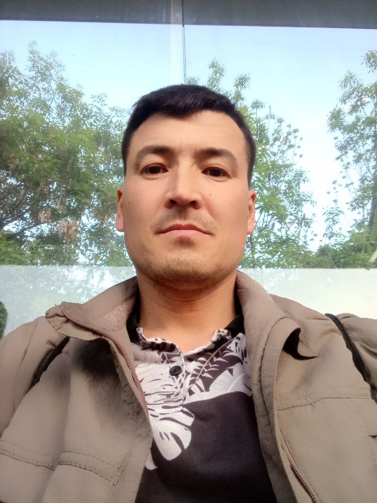  35450613  , 38 ,    