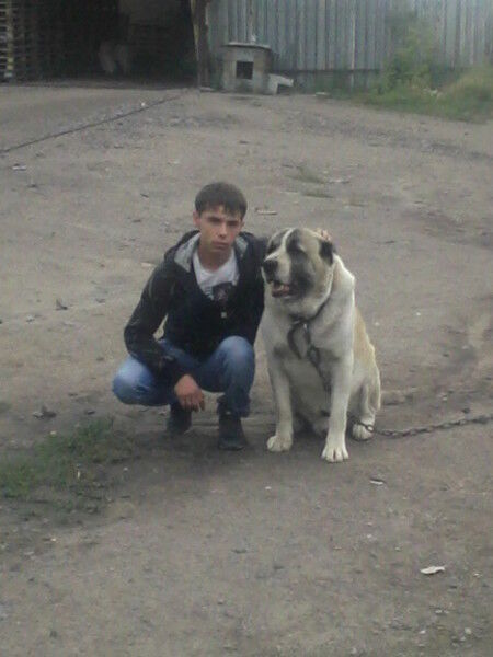 ���� 5232483 ������� �����, 35 ���, ���� ���������� � ������