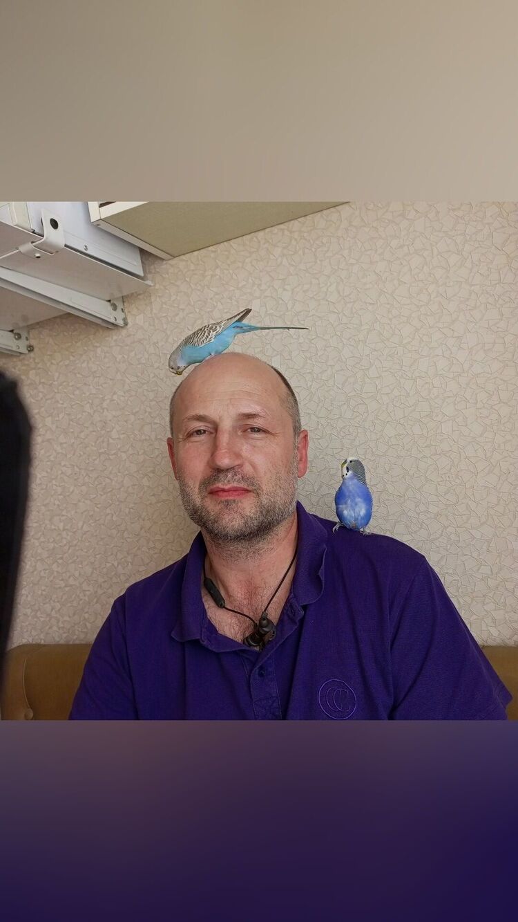 ���� 37063073 ������� �����, 50 ���, ���� ���������� � ������