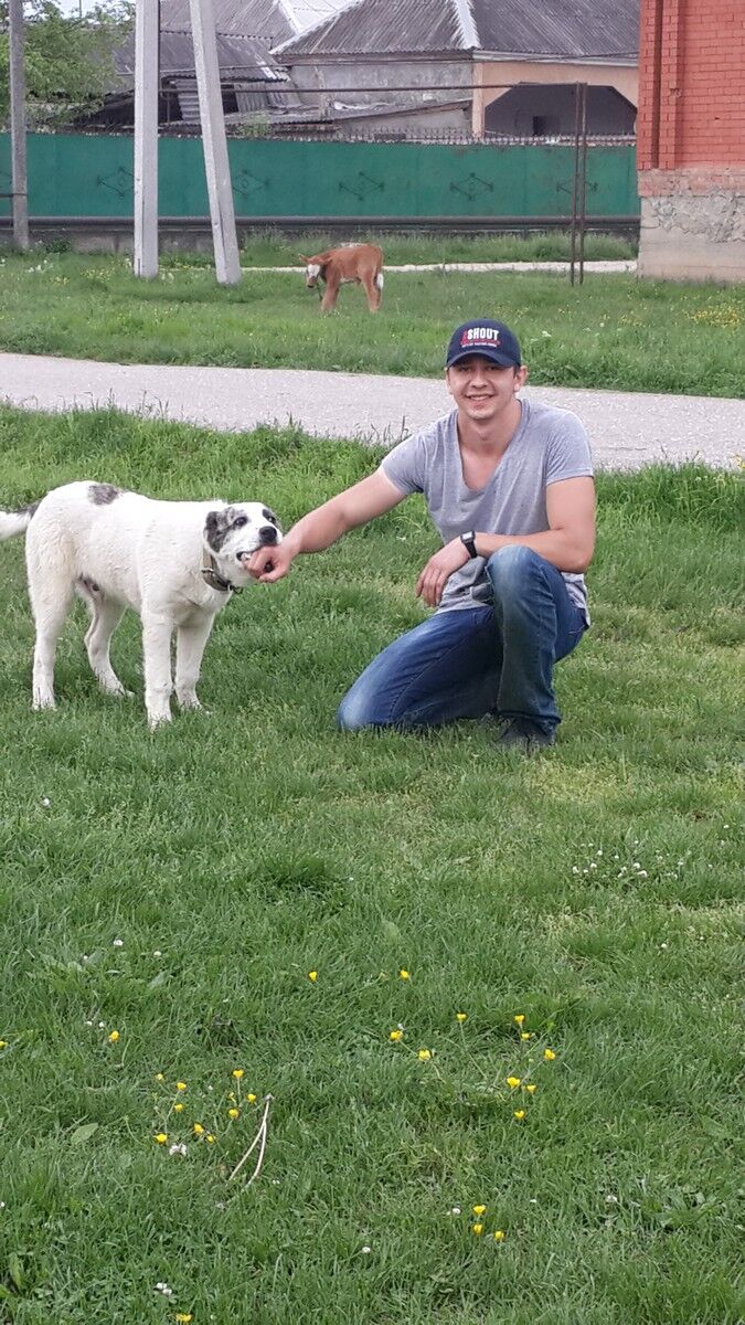 ���������� �������, ���� ������� ������, 34 ����, ������������ ��� ������, ����� � ���������, c�������� ���������