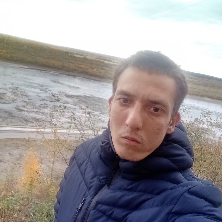  29434223  , 38 ,    