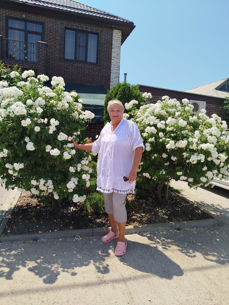 ���� 53338923 ������� �����, 64 ����, ���� ���������� � �����