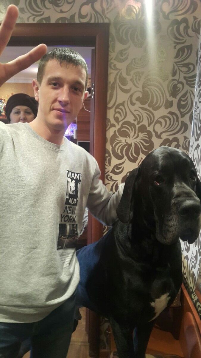 ���� 11424663 ������� Vk, 35 ���, ���� ���������� � ����������