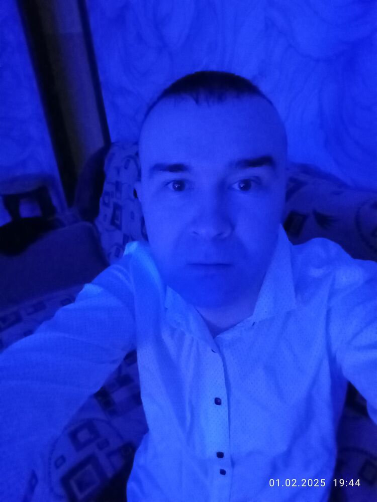  49528433  , 39 ,    