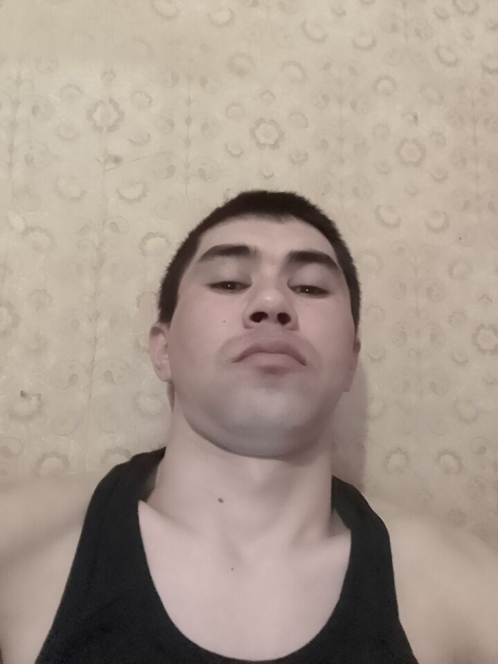 ���� 26066583 ������� �����, 33 ����, ���� ���������� � ������