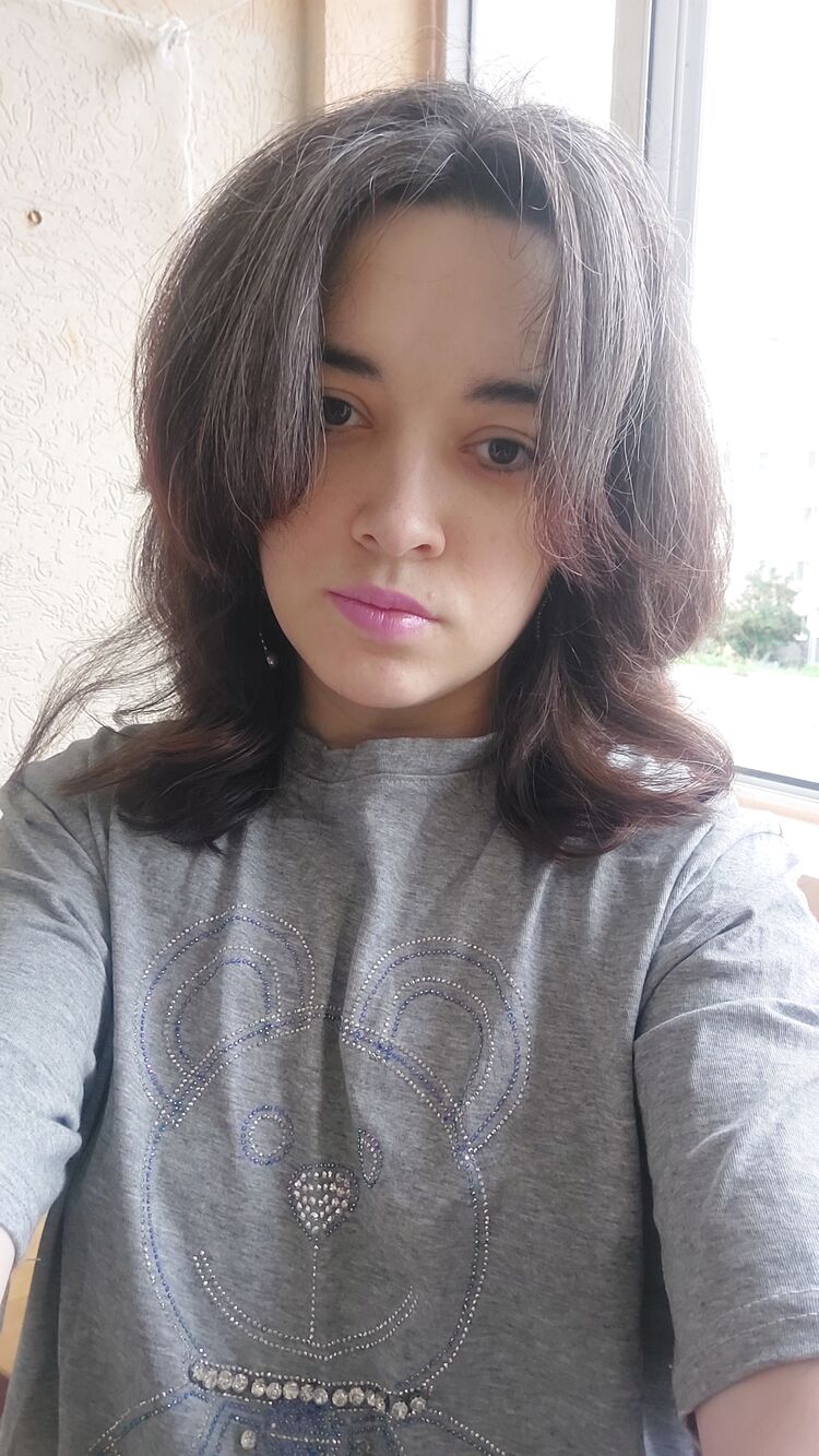  53403023  , 31 ,     