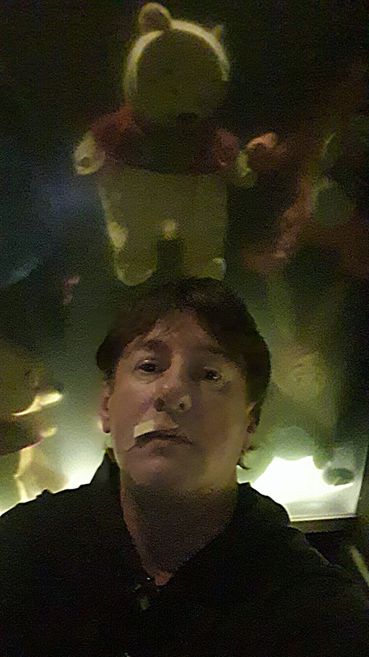  43885123  RusMi, 36 ,    