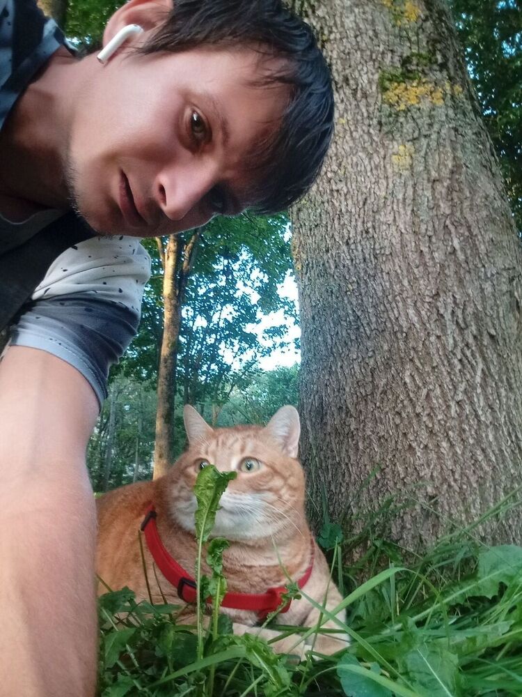 ���������� �����-���������, ���� ������� Ը���, 34 ����, ������������ ��� ������, ����� � ���������, c�������� ���������, ���������