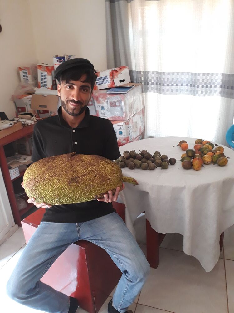 ���������� ������, ���� ������� Beto, 36 ���, ������������ ��� ������, ����� � ���������