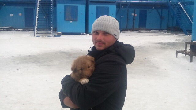 ���� 6981013 ������� �������, 40 ���, ���� ���������� � ��������