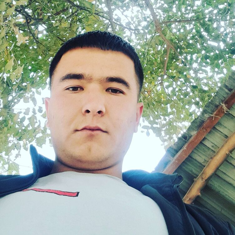 ���������� ������, ���� ������� ������, 33 ����, ������������ ��� ������, ����� � ���������, c�������� ���������