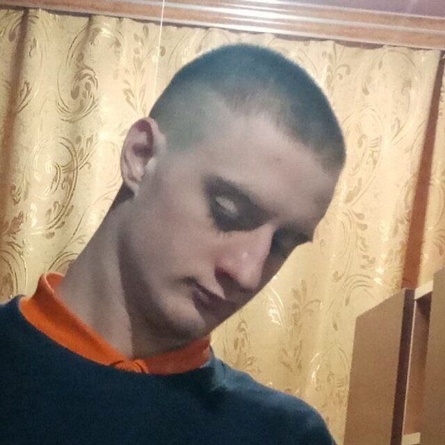  31316493  , 24 ,    