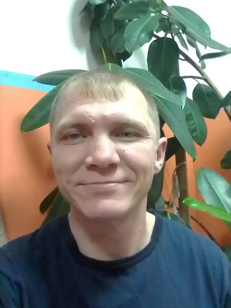  39377743  , 39 ,    --