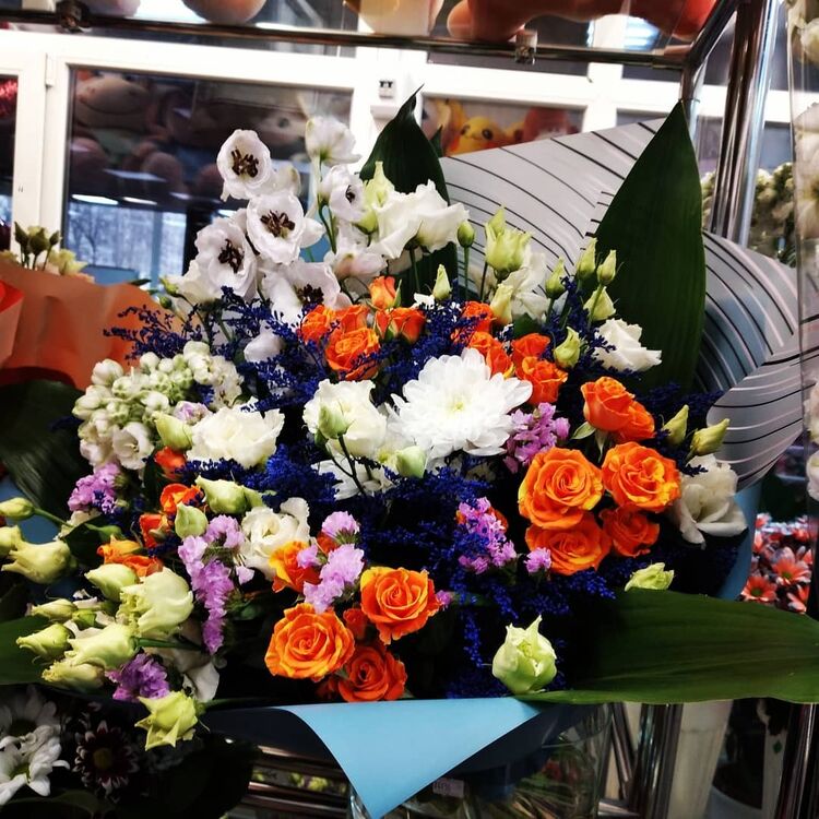 ���� 24905583 ������� ����, 43 ����, ���� ���������� � ������