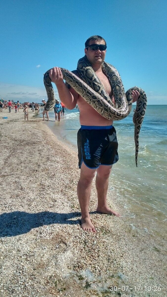 ���� 10613893 ������� ����, 38 ���, ���� ���������� � �������