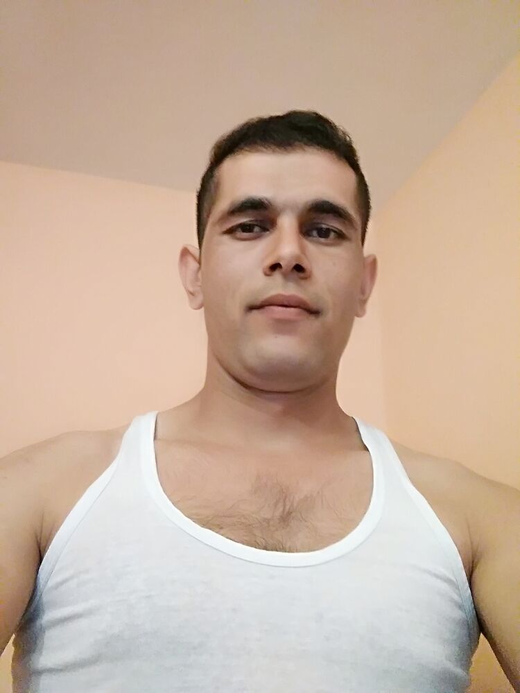  52963293  , 31 ,    -
