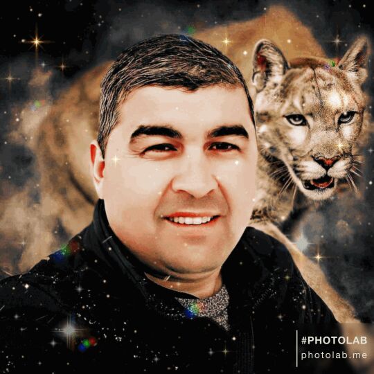 ���� 25727103 ������� ���������, 43 ����, ���� ���������� � �������������