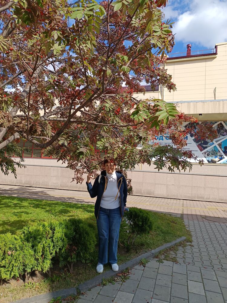  -,   , 55 ,     , c , 